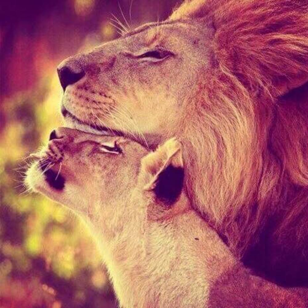 Meet your Posher, Lee